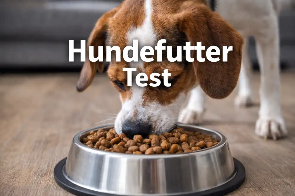 hundefutter test